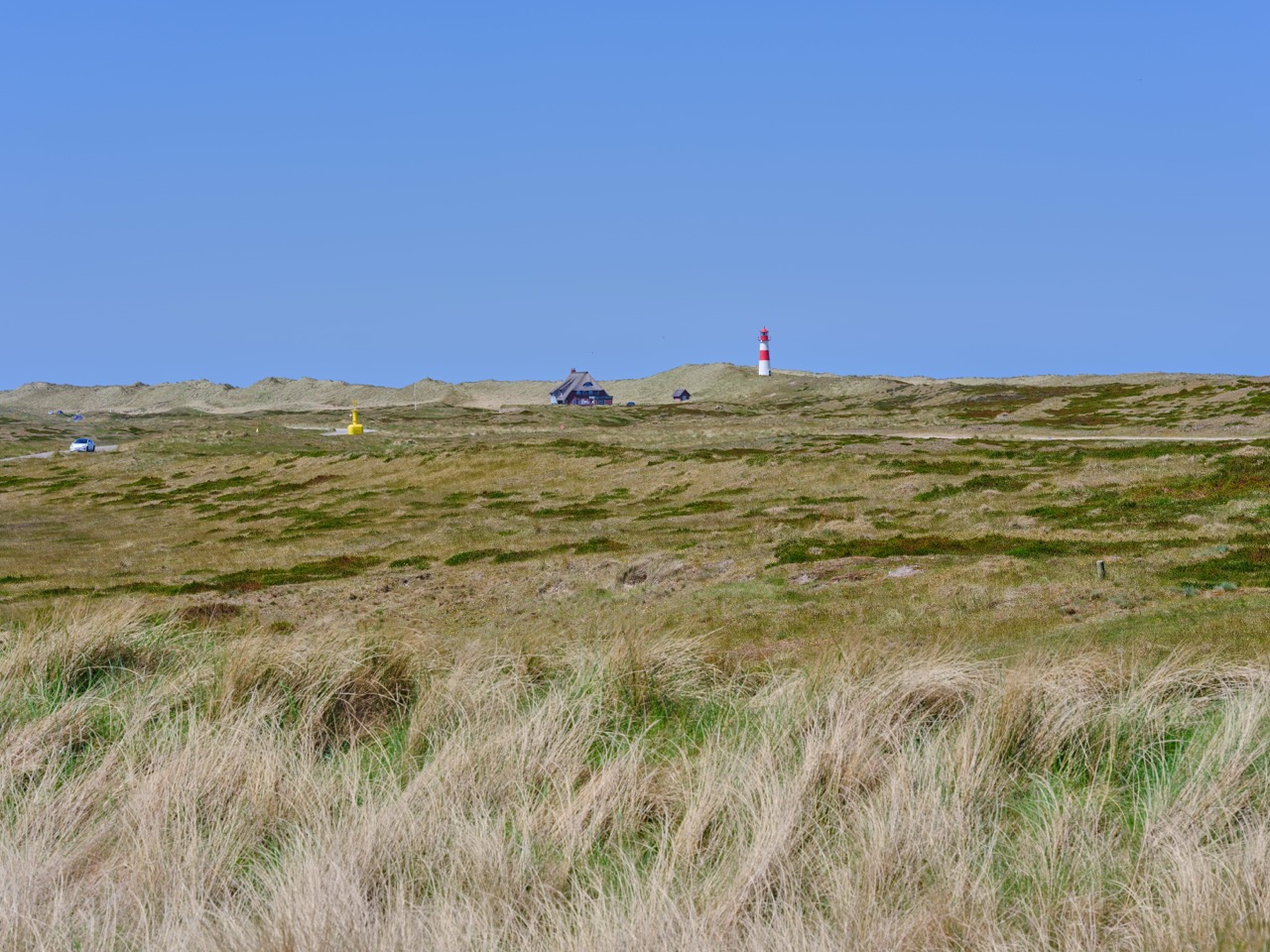Sylt