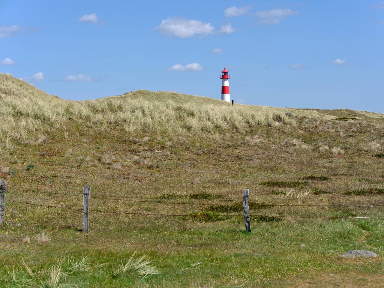 Sylt