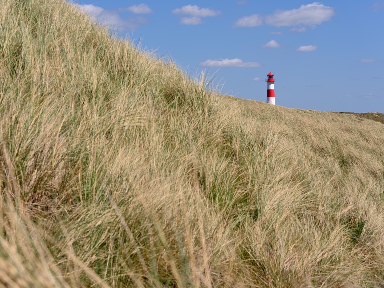 Sylt